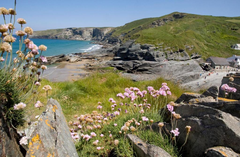 Port William Inn Tintagel Exterior foto